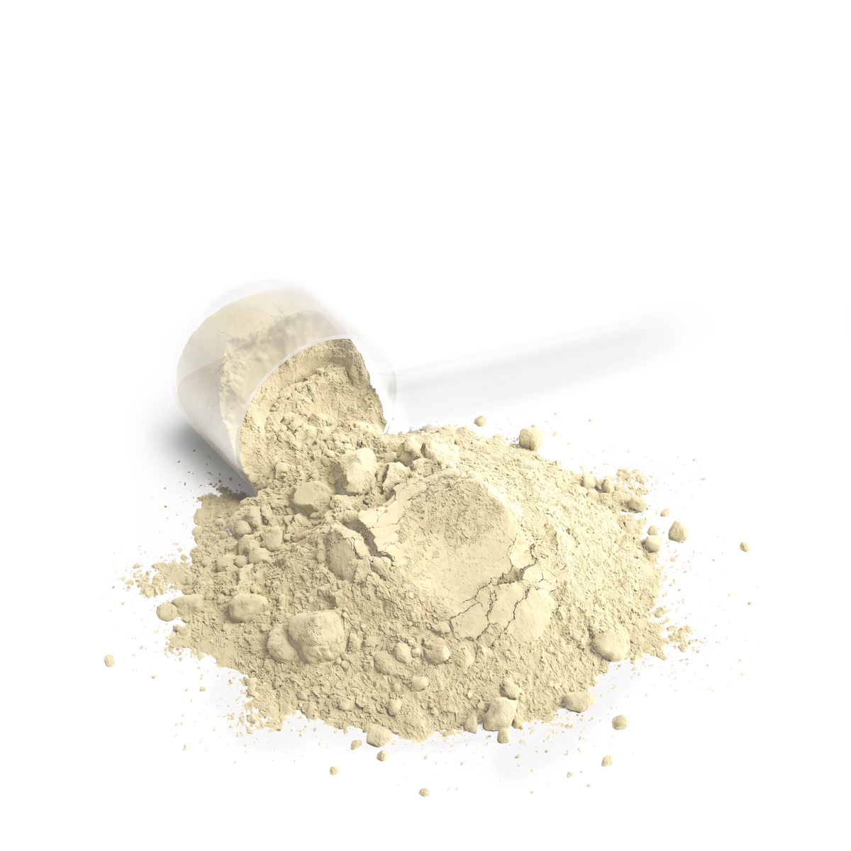 Performance Whey Protein Blend (Vanilla) Fit2Great