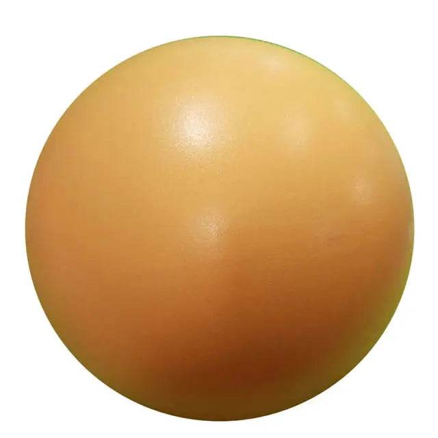 Yoga Balance Ball – High-Quality Stability Ball for Core & Balance Training - Fit2Great