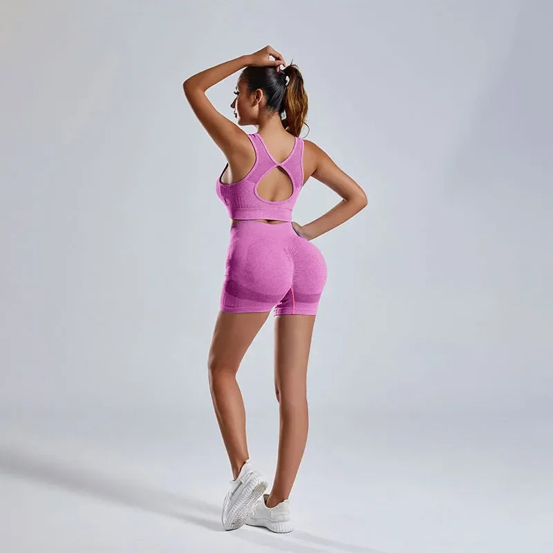 Women's Fitness Suit 2-piece Set of Hollow Back Sports Bra High Waist Shorts Yoga Suit Fit2Great