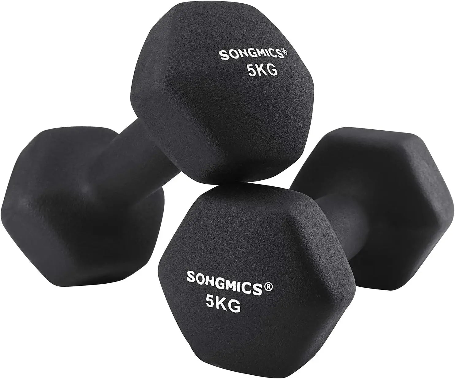 Short Dumbbells Set of 2