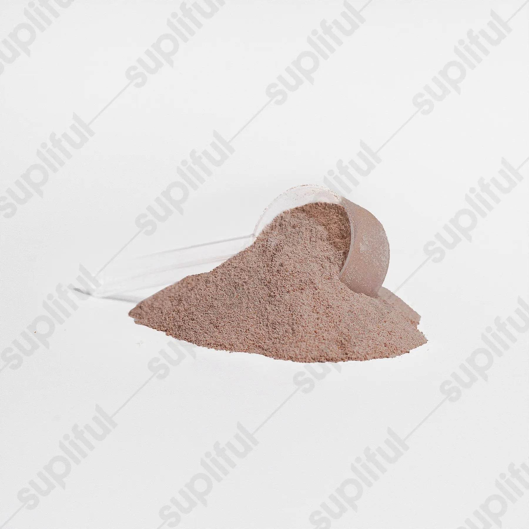 Advanced 100% Whey Protein Isolate (Chocolate) - Fit2Great