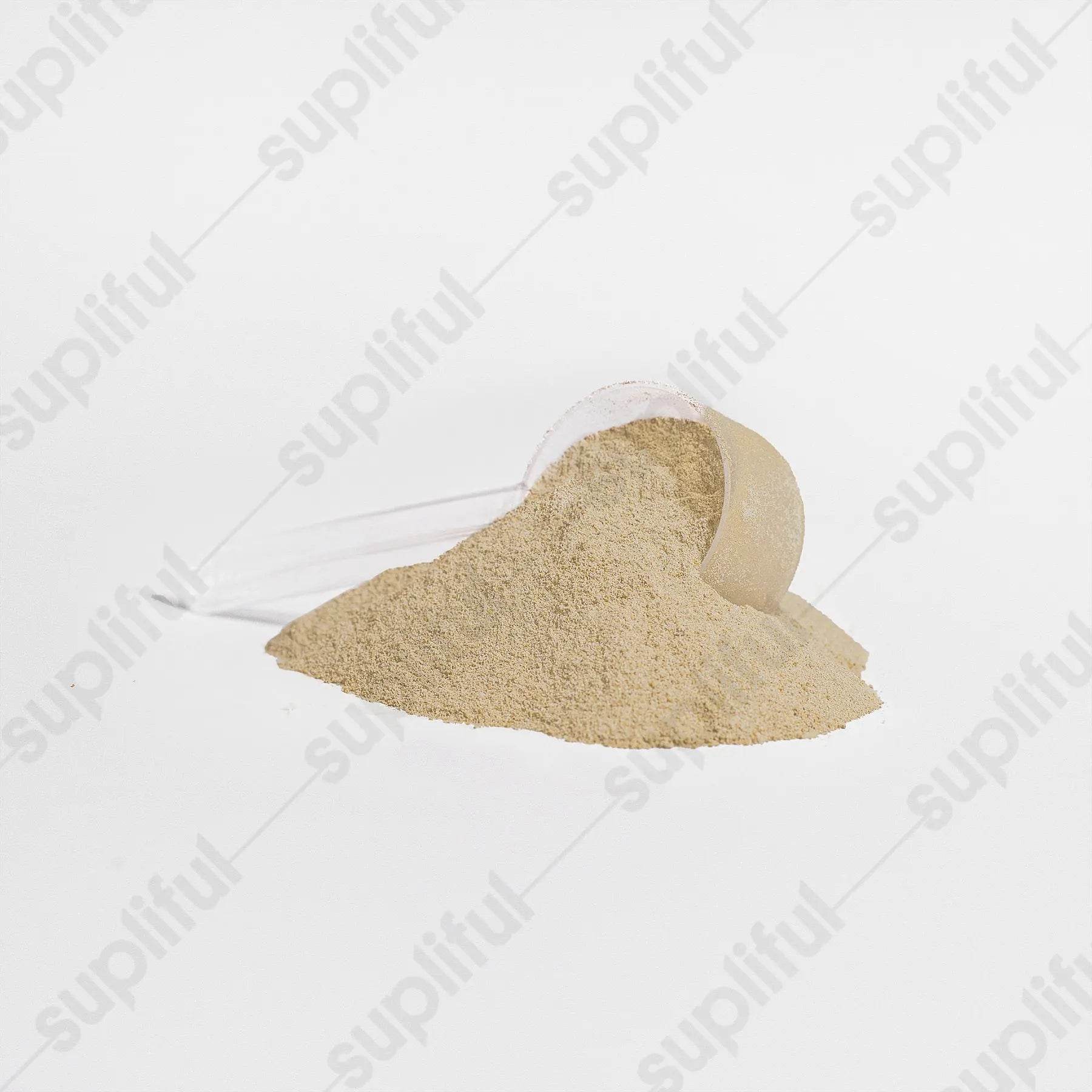 Advanced 100% Whey Protein Isolate (Vanilla) - Fit2Great