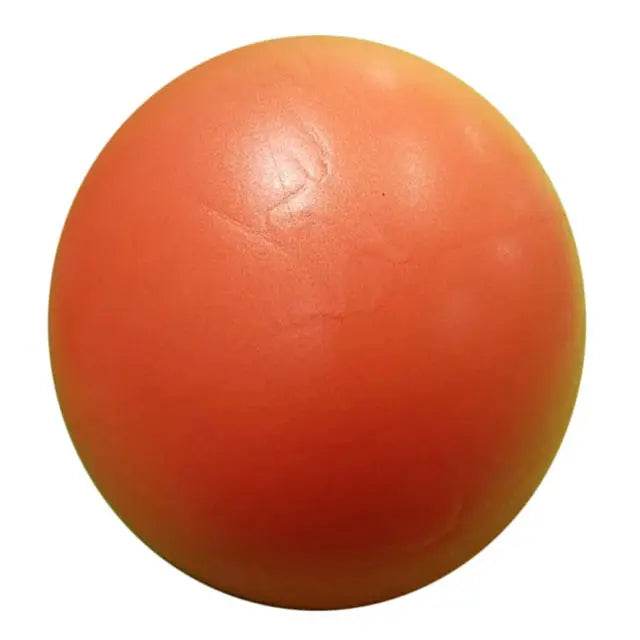 Yoga Balance Ball – High-Quality Stability Ball for Core & Balance Training - Fit2Great
