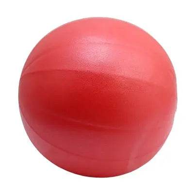 Yoga Balance Ball – High-Quality Stability Ball for Core & Balance Training - Fit2Great